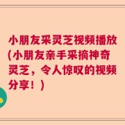 小朋友采灵芝视频播放(小朋友亲手采摘神奇灵芝，令人惊叹的视频分享！)