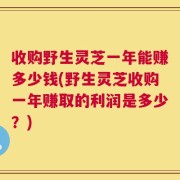 收购野生灵芝一年能赚多少钱(野生灵芝收购一年赚取的利润是多少？)