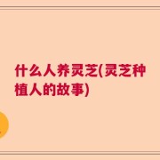 什么人养灵芝(灵芝种植人的故事)