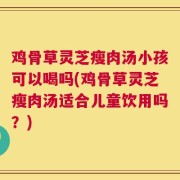 鸡骨草灵芝瘦肉汤小孩可以喝吗(鸡骨草灵芝瘦肉汤适合儿童饮用吗？)