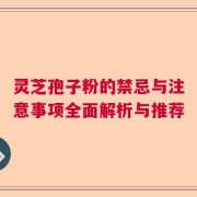 灵芝孢子粉的禁忌与注意事项全面解析与推荐