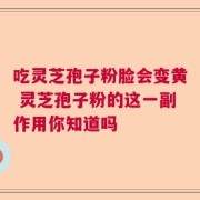 吃灵芝孢子粉脸会变黄 灵芝孢子粉的这一副作用你知道吗