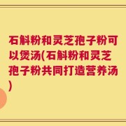 石斛粉和灵芝孢子粉可以煲汤(石斛粉和灵芝孢子粉共同打造营养汤)