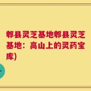 郫县灵芝基地郫县灵芝基地：高山上的灵药宝库)