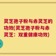 灵芝孢子粉与赤灵芝的功效(灵芝孢子粉与赤灵芝：双重健康功效)