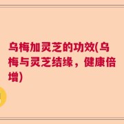 乌梅加灵芝的功效(乌梅与灵芝结缘，健康倍增)