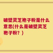 破壁灵芝袍子粉是什么意思(什么是破壁灵芝袍子粉？)