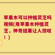 苹果木可以种植灵芝吗视频(用苹果木种植灵芝，神奇结果让人惊叹！)