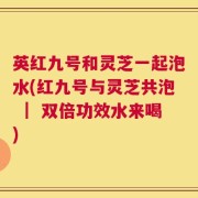 英红九号和灵芝一起泡水(红九号与灵芝共泡 ｜ 双倍功效水来喝)
