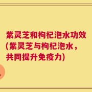 紫灵芝和枸杞泡水功效(紫灵芝与枸杞泡水，共同提升免疫力)