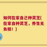 如何在家自己种灵芝(在家自种灵芝，养生无负担！)