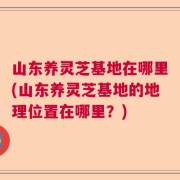 山东养灵芝基地在哪里(山东养灵芝基地的地理位置在哪里？)