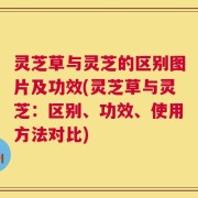 灵芝草与灵芝的区别图片及功效(灵芝草与灵芝：区别、功效、使用方法对比)