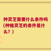 种灵芝需要什么条件吗(种植灵芝的条件是什么？)