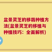 盆景灵芝的移栽种植方法(盆景灵芝的移植与种植技巧：全面解析)