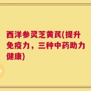 西洋参灵芝黄芪(提升免疫力，三种中药助力健康)