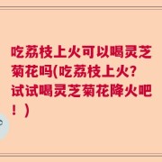吃荔枝上火可以喝灵芝菊花吗(吃荔枝上火？试试喝灵芝菊花降火吧！)