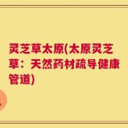 灵芝草太原(太原灵芝草：天然药材疏导健康管道)