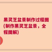 黑灵芝盆景制作过程图(制作黑灵芝盆景,全程图解)