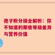 孢子粉分级全解析：你不知道的那些等级差异与营养价值