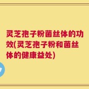 灵芝孢子粉菌丝体的功效(灵芝孢子粉和菌丝体的健康益处)