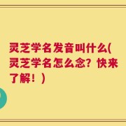 灵芝学名发音叫什么(灵芝学名怎么念？快来了解！)