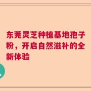 东莞灵芝种植基地孢子粉，开启自然滋补的全新体验