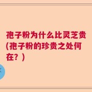 孢子粉为什么比灵芝贵(孢子粉的珍贵之处何在？)