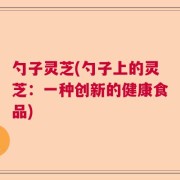 勺子灵芝(勺子上的灵芝：一种创新的健康食品)