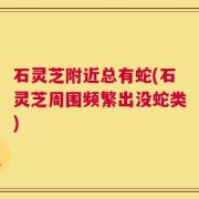 石灵芝附近总有蛇(石灵芝周围频繁出没蛇类)