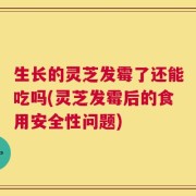 生长的灵芝发霉了还能吃吗(灵芝发霉后的食用安全性问题)