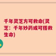 千年灵芝方可救命(灵芝：千年妙药或可搭救生命)