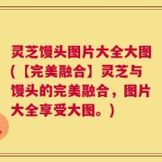 灵芝馒头图片大全大图(【完美融合】灵芝与馒头的完美融合，图片大全享受大图。)