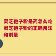 灵芝孢子粉是药怎么吃灵芝孢子粉的正确用法和剂量