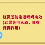 红灵芝能泡酒喝吗功效(红灵芝可入酒，具有保健作用)