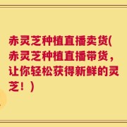 赤灵芝种植直播卖货(赤灵芝种植直播带货，让你轻松获得新鲜的灵芝！)