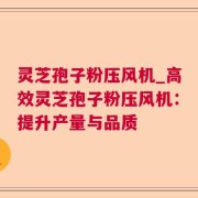 灵芝孢子粉压风机_高效灵芝孢子粉压风机：提升产量与品质