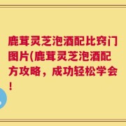 鹿茸灵芝泡酒配比窍门图片(鹿茸灵芝泡酒配方攻略，成功轻松学会！