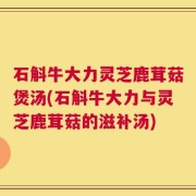 石斛牛大力灵芝鹿茸菇煲汤(石斛牛大力与灵芝鹿茸菇的滋补汤)