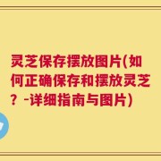 灵芝保存摆放图片(如何正确保存和摆放灵芝？-详细指南与图片)