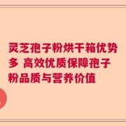 灵芝孢子粉烘干箱优势多 高效优质保障孢子粉品质与营养价值