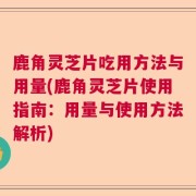 鹿角灵芝片吃用方法与用量(鹿角灵芝片使用指南：用量与使用方法解析)