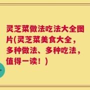 灵芝菜做法吃法大全图片(灵芝菜美食大全，多种做法、多种吃法，值得一读！)
