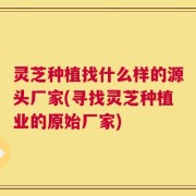 灵芝种植找什么样的源头厂家(寻找灵芝种植业的原始厂家)