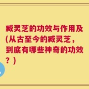 臧灵芝的功效与作用及(从古至今的臧灵芝，到底有哪些神奇的功效？)
