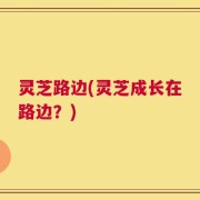 灵芝路边(灵芝成长在路边？)