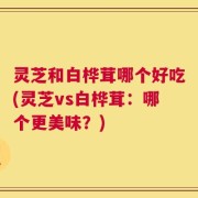 灵芝和白桦茸哪个好吃(灵芝vs白桦茸：哪个更美味？)