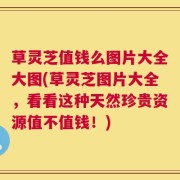 草灵芝值钱么图片大全大图(草灵芝图片大全，看看这种天然珍贵资源值不值钱！)