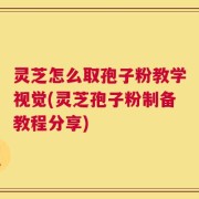 灵芝怎么取孢子粉教学视觉(灵芝孢子粉制备教程分享)