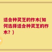 适合种灵芝的柞木(如何选择适合种灵芝的柞木？)